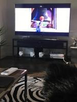 IKEA RAMSATRA (174x42x62)