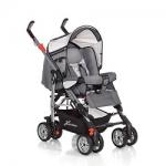 Hartan Buggy iX1